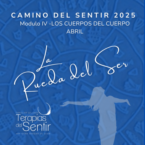 Camino del Sentir - Modulo Abril - Los Cuerpos del Cuerpo