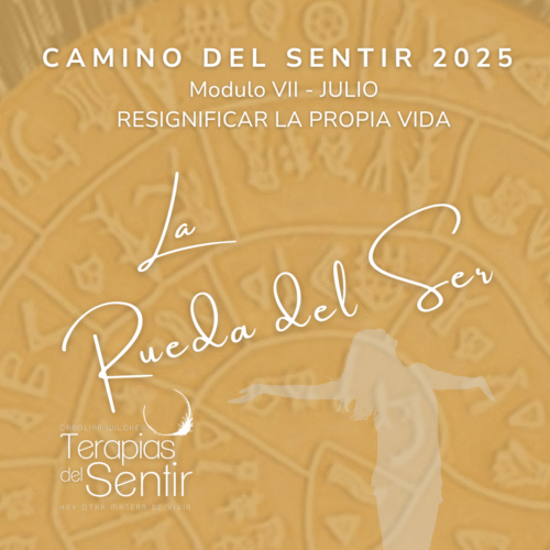 MÓDULO JULIO - Camino del Sentir 2025 -