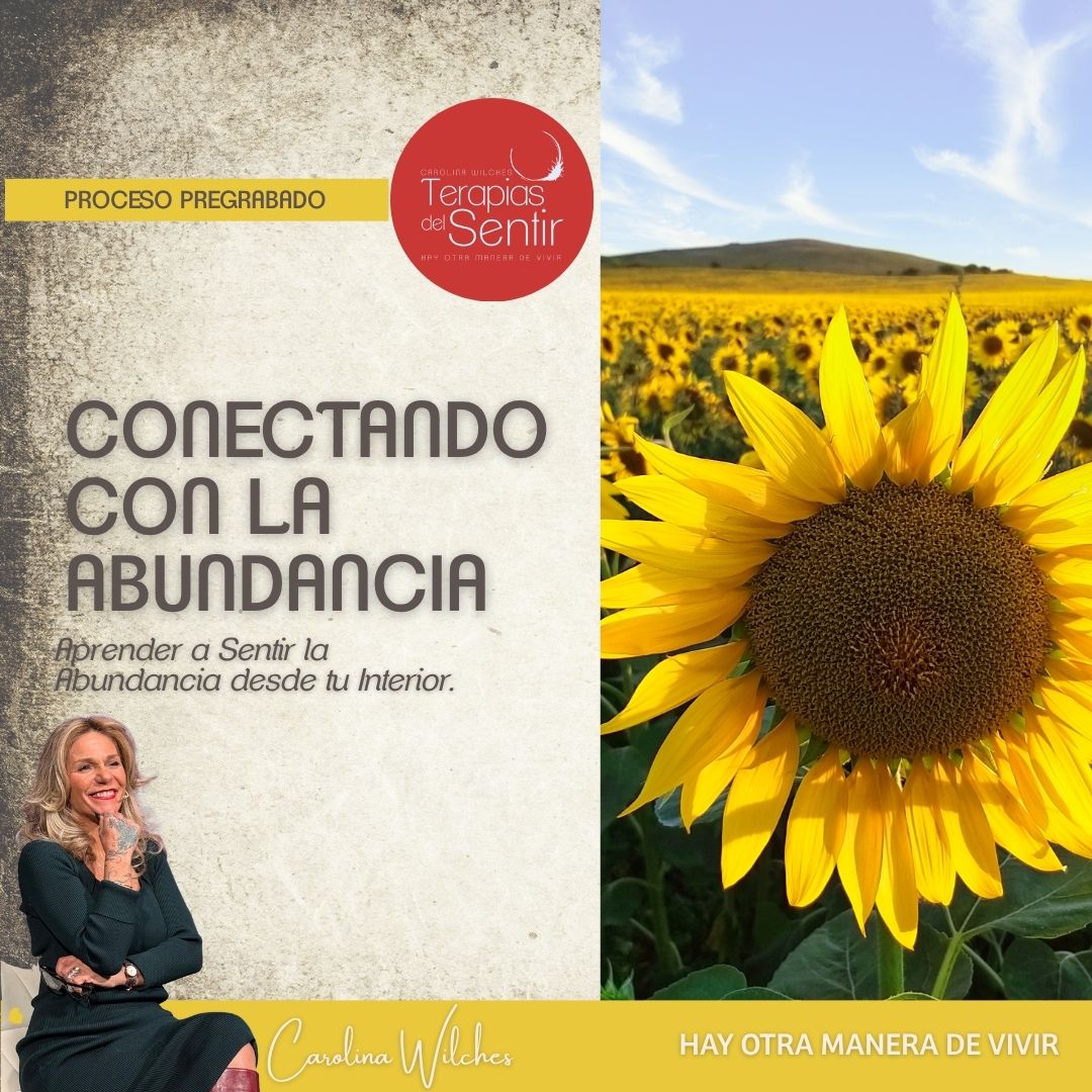 Conectando con la Abundancia